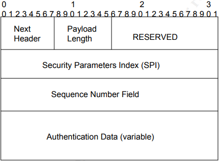 Figure 2 - Extension header of IPv6 packet