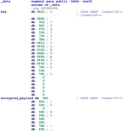 Fig. 7: Encrypted payload and decryption key in data section of loader